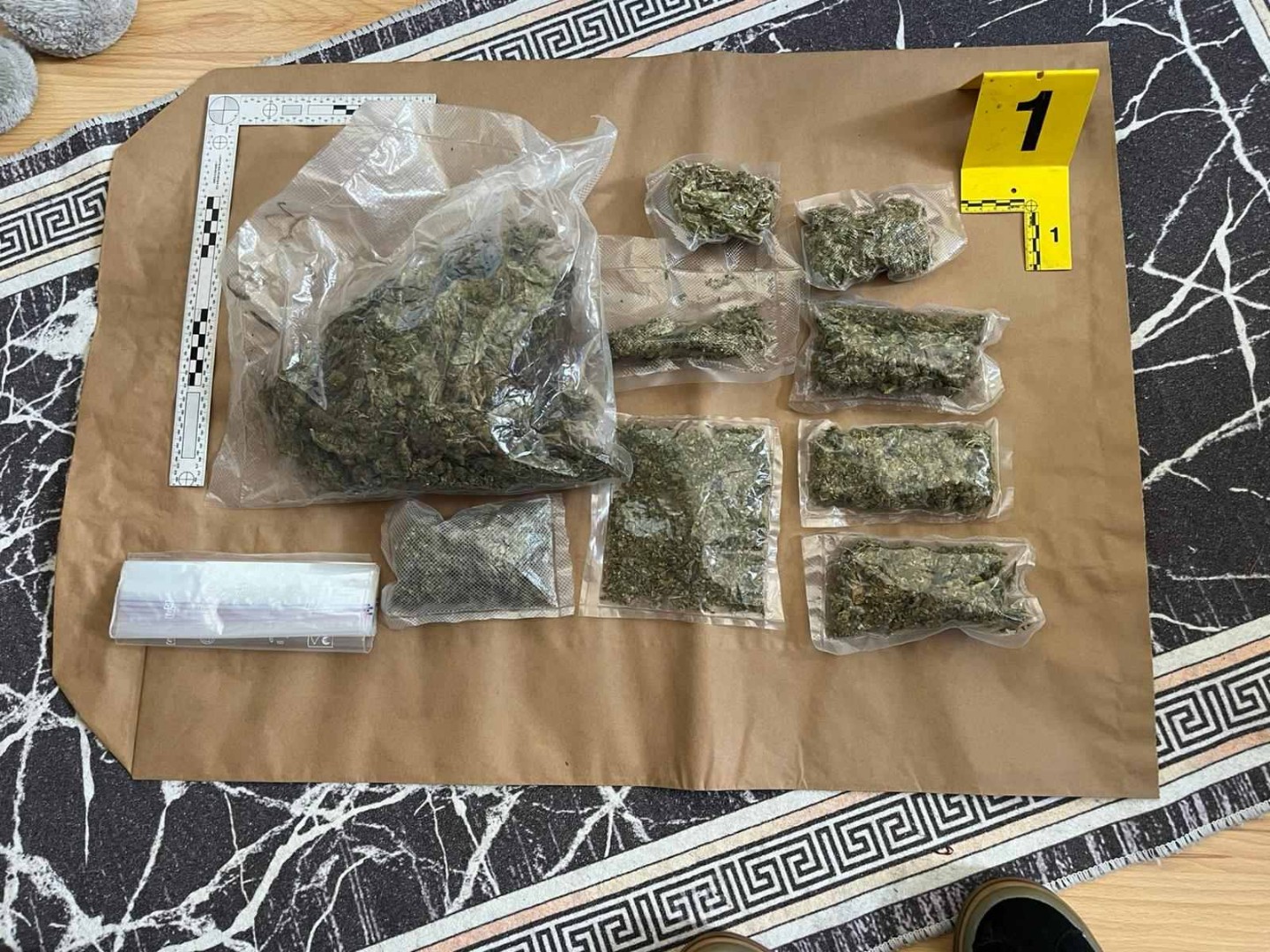 Akcija "Micelij": Oduzeta droga i otkrivena improvizovana laboratorija u Novom Gradu