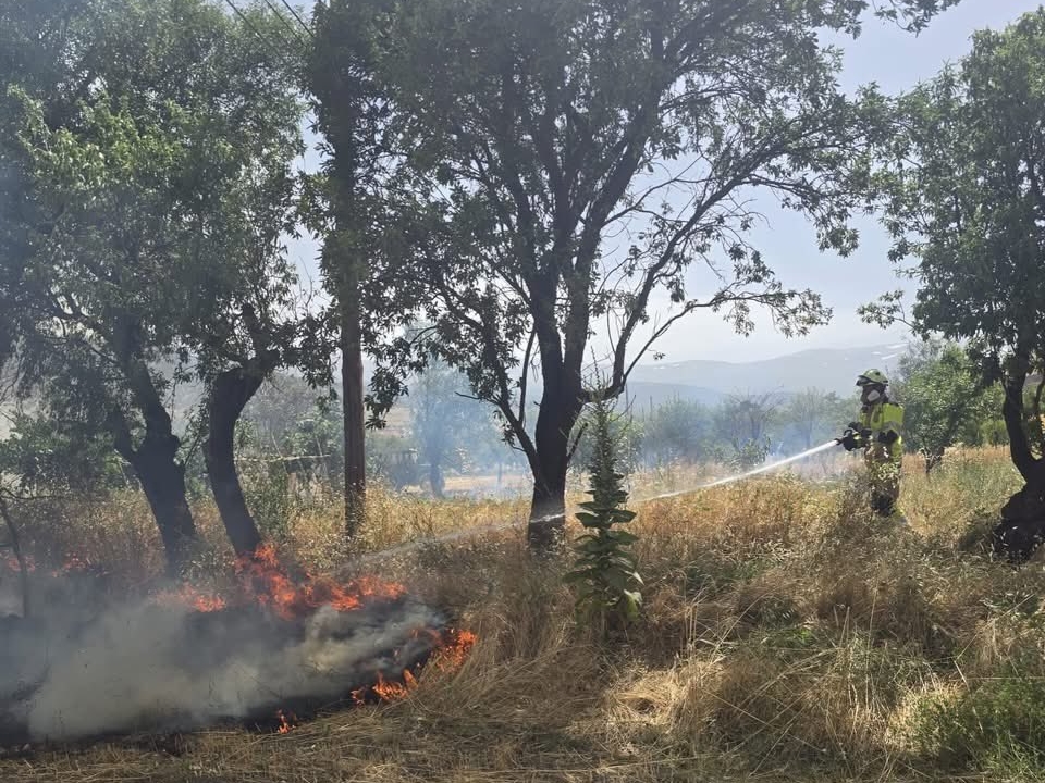 Alarmantno od Portugala do Grčke: Evropa gori