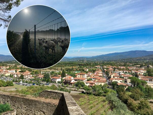 Albanac krenuo u pljačku, pa poginuo na ogradi postavljenoj zbog divljih svinja