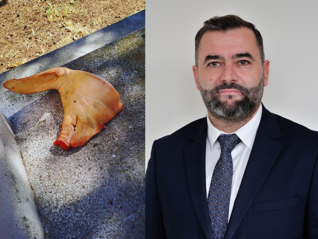 Alić: Gnusno, vandalsko i sramotno skrnavljenje Liska harema