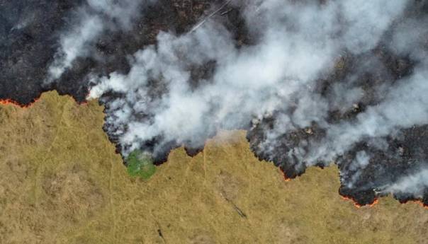 Amazonija doživljava najgore šumske požare u posljednjih 13 godina