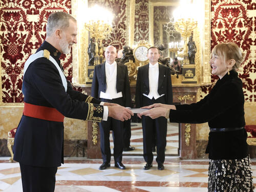 Ambasadorica BiH predala akreditive kralju Španije Felipeu VI