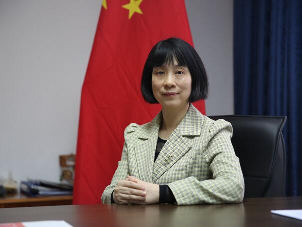 Ambasadorica Kine: Carinski ratovi nemaju pobjednika