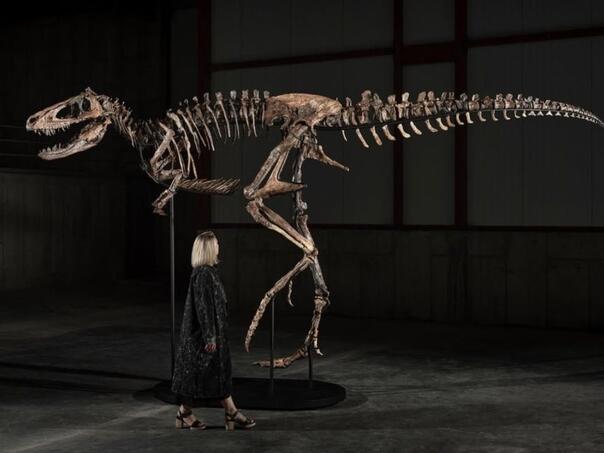 Anonimni kupac otkupio kostur dinosaurusa za 47 miliona dolara
