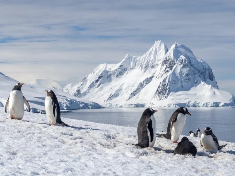 Antarktički led se oporavlja nakon rekordno niskih vrijednosti