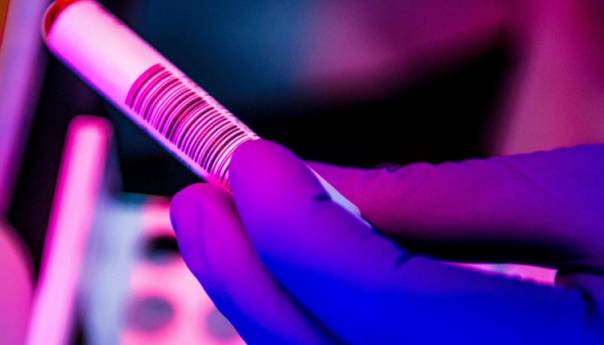 Antitijela na  koronavirus ima 6,7 odsto ljudi u Srbiji