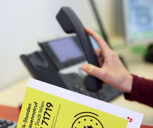 Beč nagrađen: Inovativan projekt pomoći ženama koje trpe digitalno nasilje