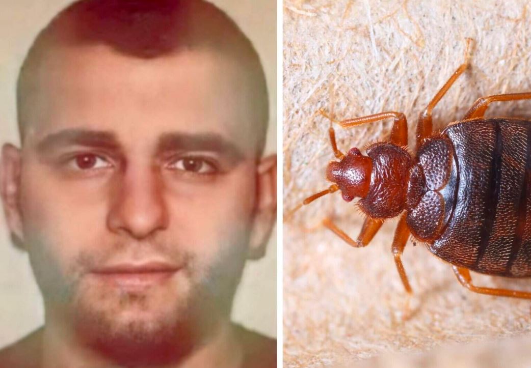 Belgija: Suđenje albanskom mafijašu odgođeno zbog stjenica