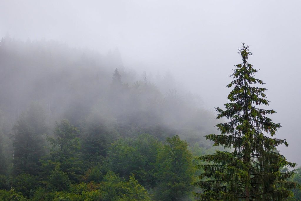 BiH Meteo: Ovog datuma stiže promjena vremena i kraj vrućina