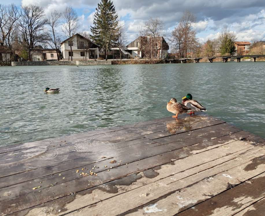 Bihać i danas najtopliji grad sa 16 stepeni, sutra u BiH pretežno sunčano