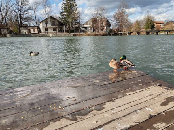 Bihać i danas najtopliji grad sa 16 stepeni, sutra u BiH pretežno sunčano