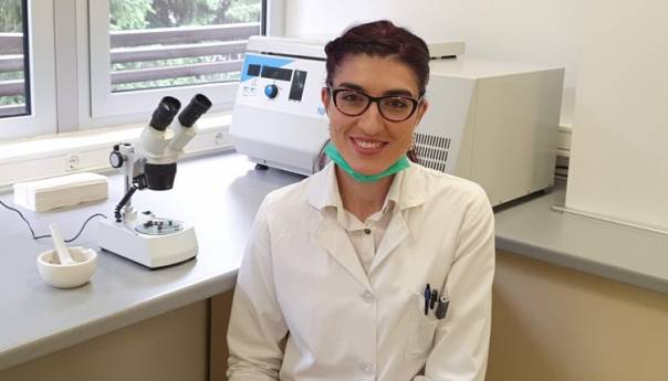 Biljke i pčele prirodno povezane neraskidivom vezom