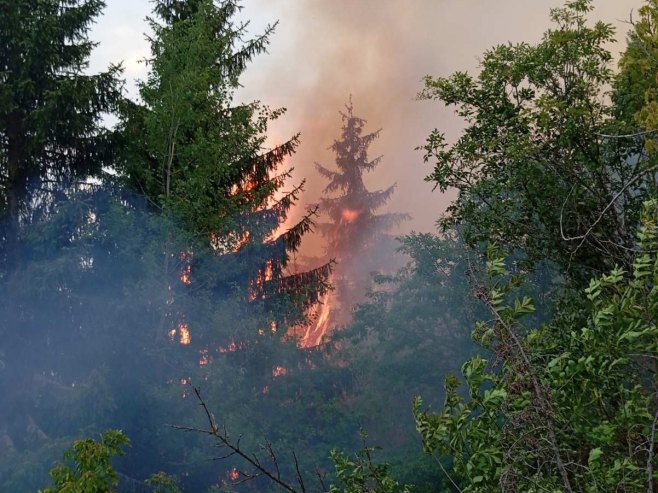 Bitka za očuvanje imovine i prirode: Požar kod Rogatice lokalizovan