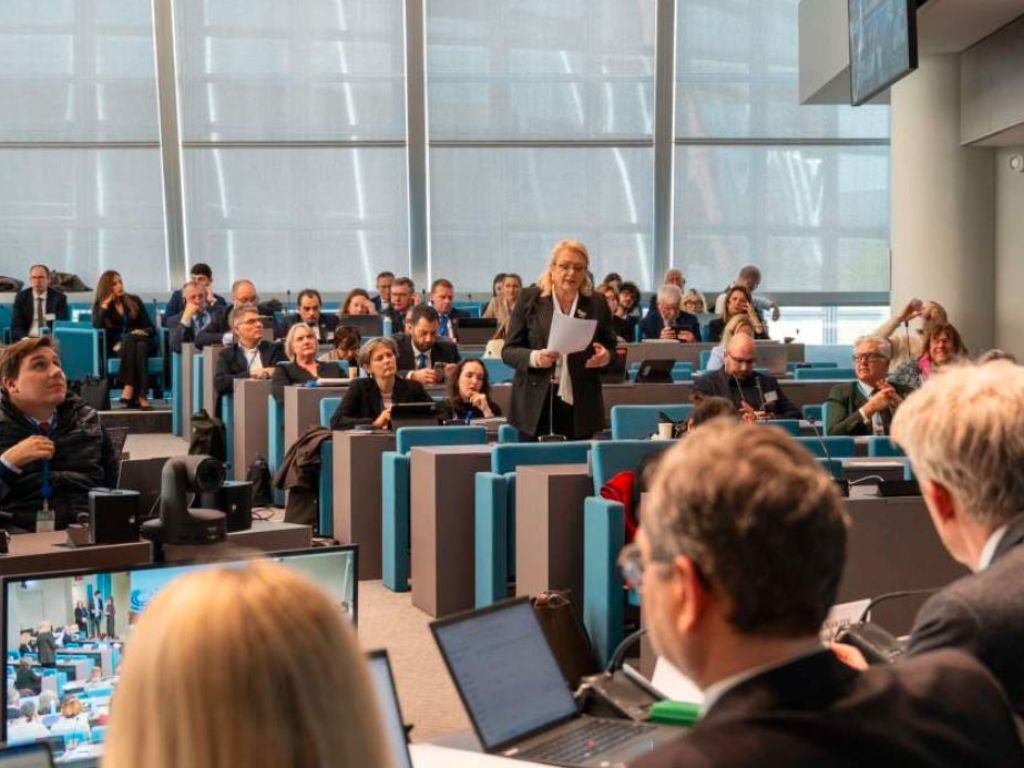 Bradara izabrana za potpredsjednicu Doma regija Vijeća Evrope