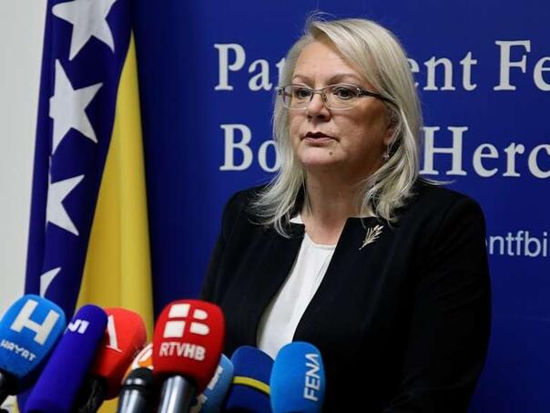 Bradara zatražila ocjenu ustavnosti Zakona o Južnoj interkonekciji