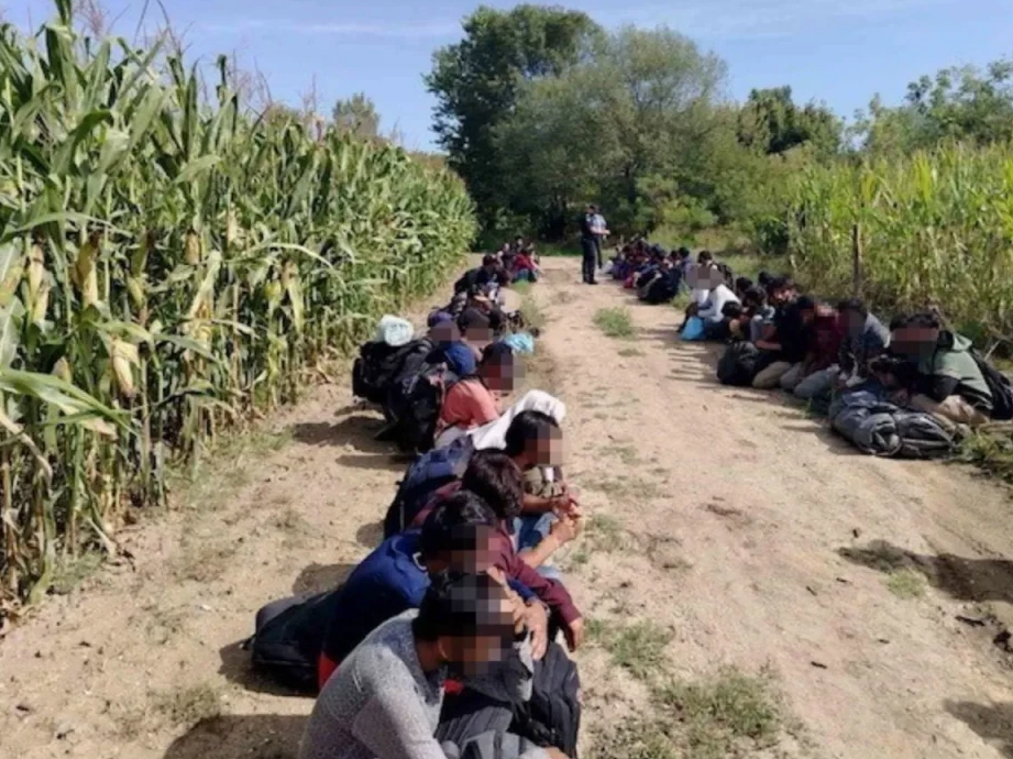 Broj migranata porastao za 66 posto, nezakoniti prelasci bh. granice veći za 76 posto