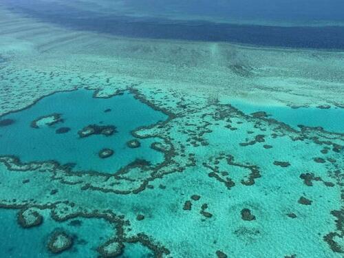 Četvrto masovno izbjeljivanje koralja zbog rekordno visokih temperatura