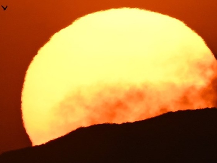 Copernicus: Nedjelja iza nas najtopliji dan ikad zabilježen