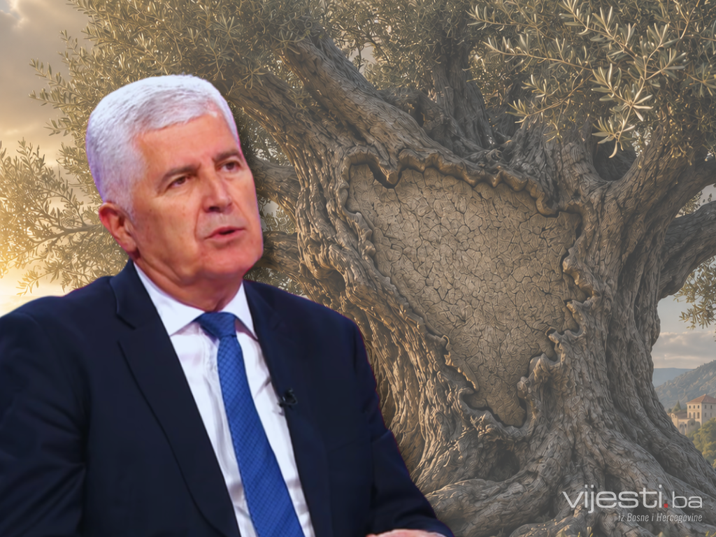 Čović poredio BiH sa maslinom: Visoki predstavnici ne znaju održavati tu kulturu