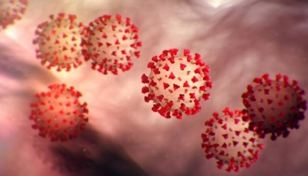 COVID-19 može utjecati na plodnost kod muškaraca