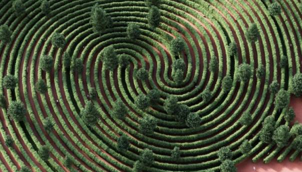 Covid park: Šetalište inspirisano novim virusom korona