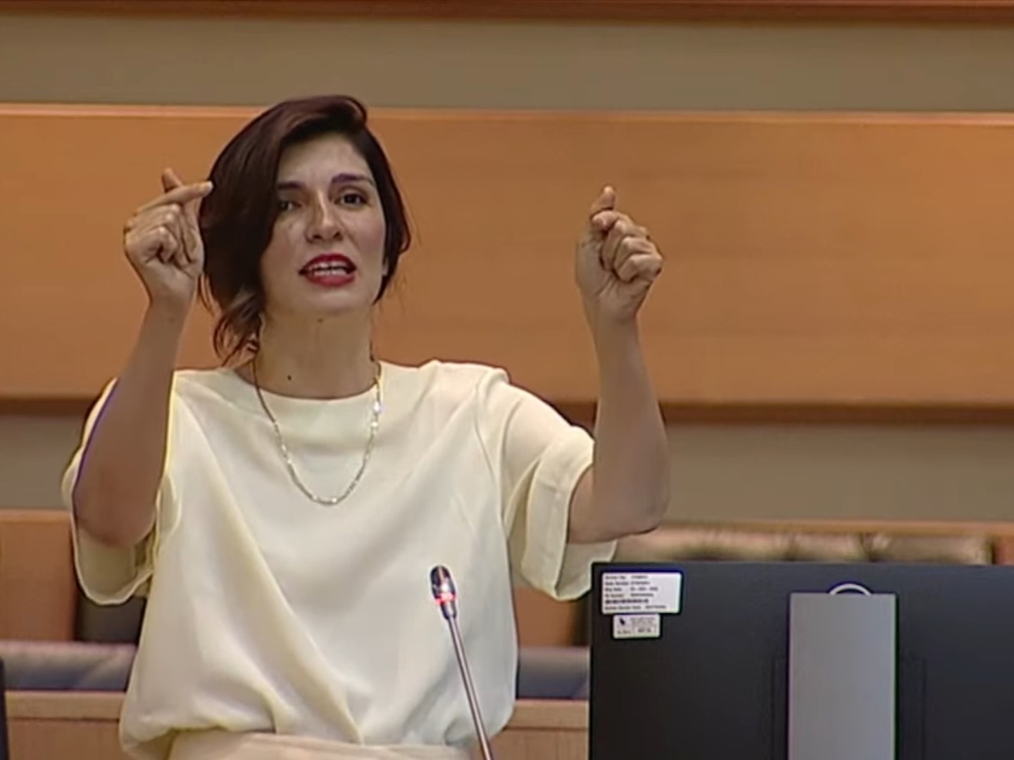Ćudić: Budžet ogolio SNSD, jačaju državu koju “ruše”