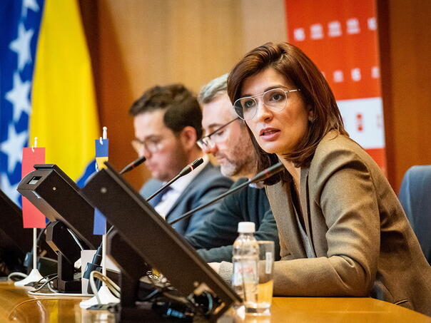 Ćudić: Primorac islamofobijom minira američke investicije