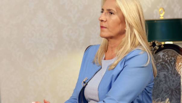 Cvijanović: Formiran pregovarački tim koji se može dopunjavati