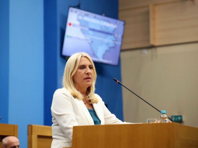 Cvijanović: Ništa se na Balkanu ne može riješiti bez nove američke administracije