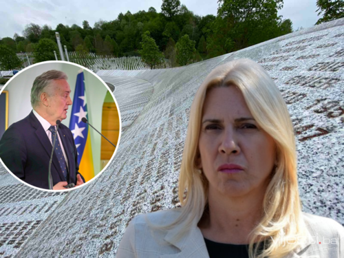 Cvijanović podnijela prijavu protiv Lagumdžije zbog Rezolucije o Srebrenici