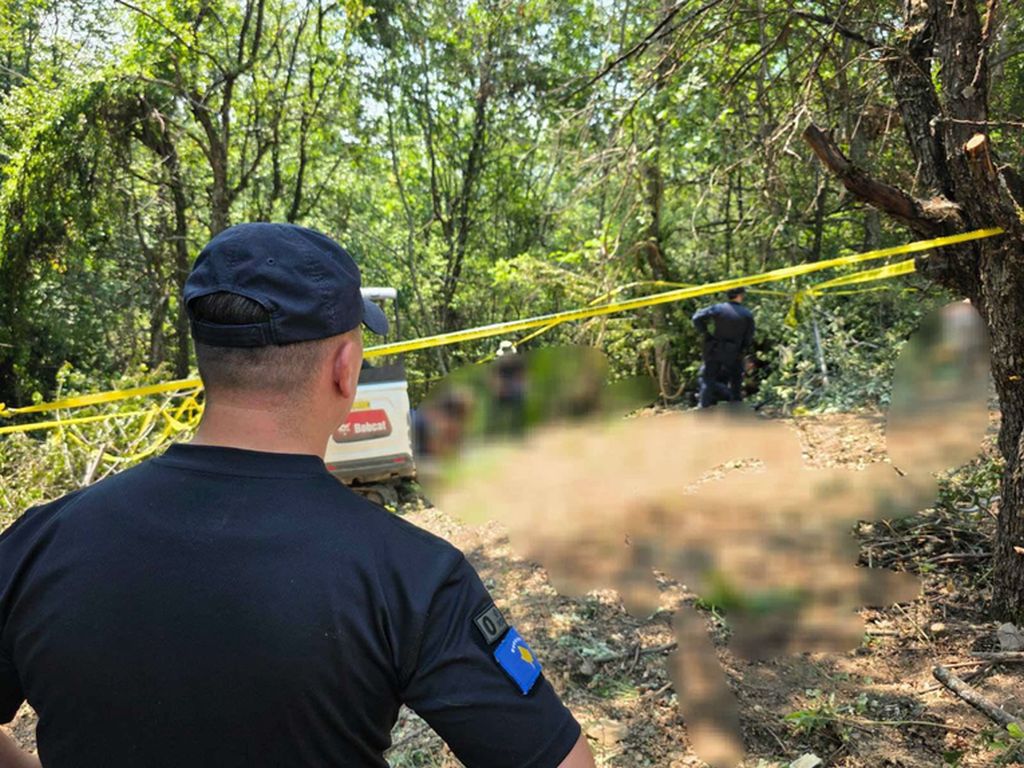 Dječak (4) ranjen nožem na Kosovu, uhapšena žena