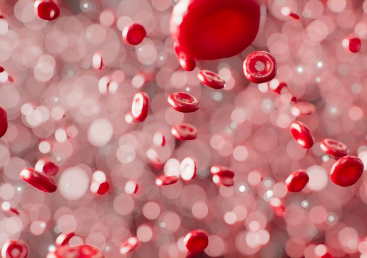 Đozo: Kad zajednica i građani djeluju zajedno moguće je osigurati stabilne zalihe krvi