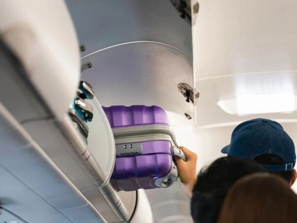 Drama u avionu: Zmija izašla iz ručnog prtljaga