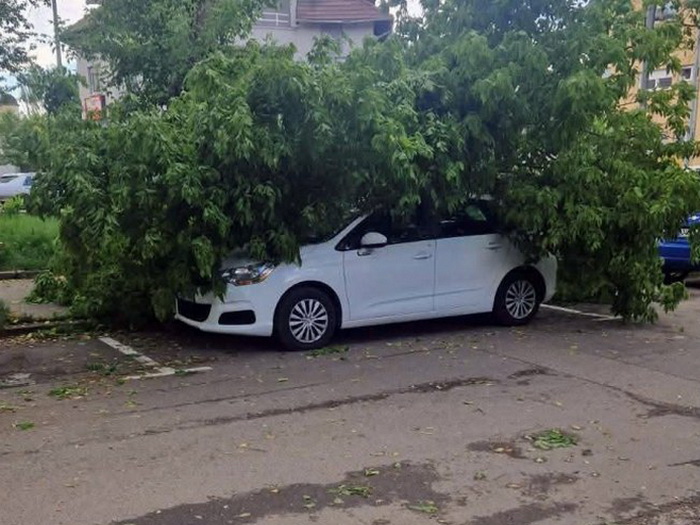 Drvo palo na automobil u Banjaluci tokom nevremena