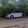 Drvo palo na automobil u Banjaluci tokom nevremena