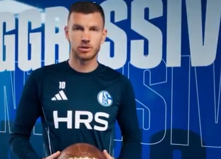 Džeko i ljiljani: Schalke kreativno predstavio pojačanje iz Dinama