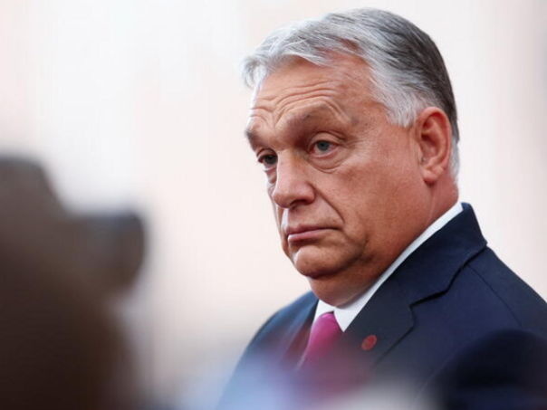 EP upozorava: Mađarska klizi ka “hibridnom režimu izborne autokratije”