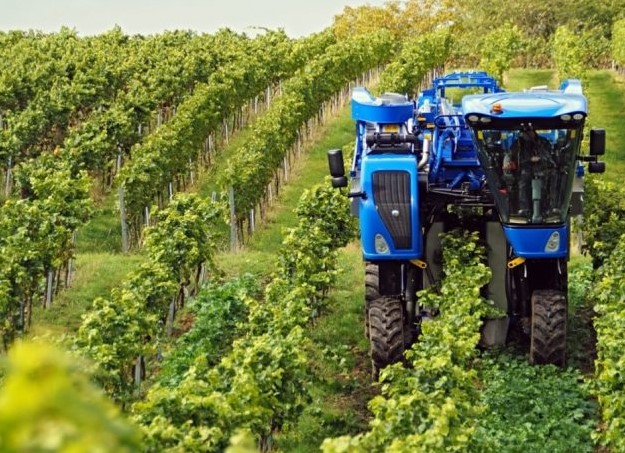 EU odobrila Njemačkoj pet milijardi eura za zelenu industriju