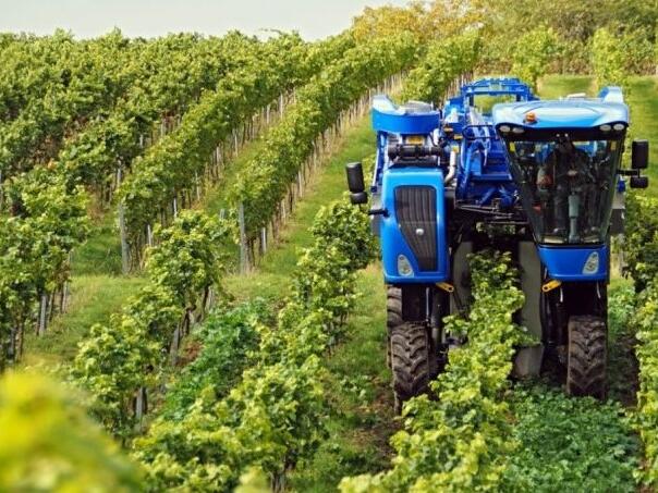 EU odobrila Njemačkoj pet milijardi eura za zelenu industriju