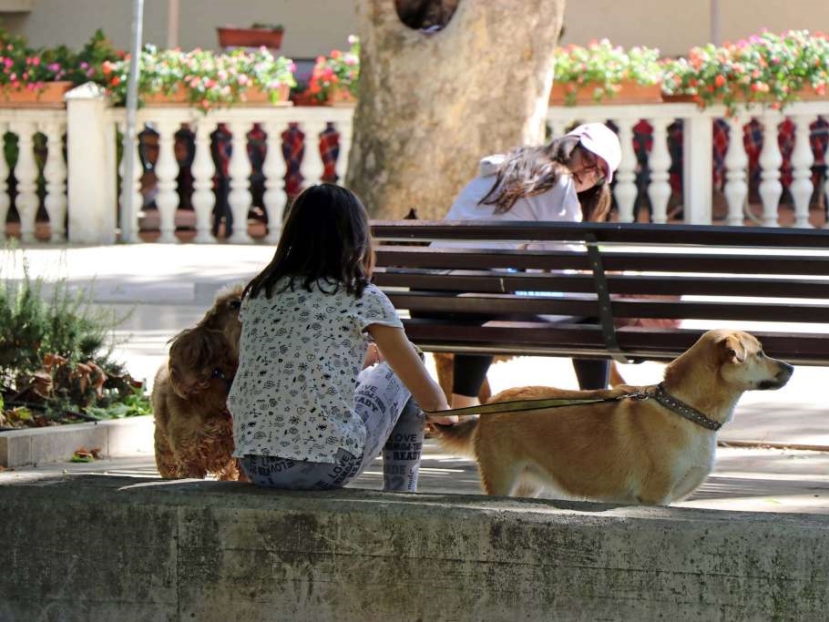EU uvodi nova pravila za zaštitu pasa i mačaka
