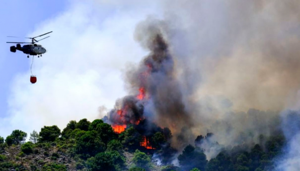 Evakuisano više stotina ljudi zbog šumskog požara