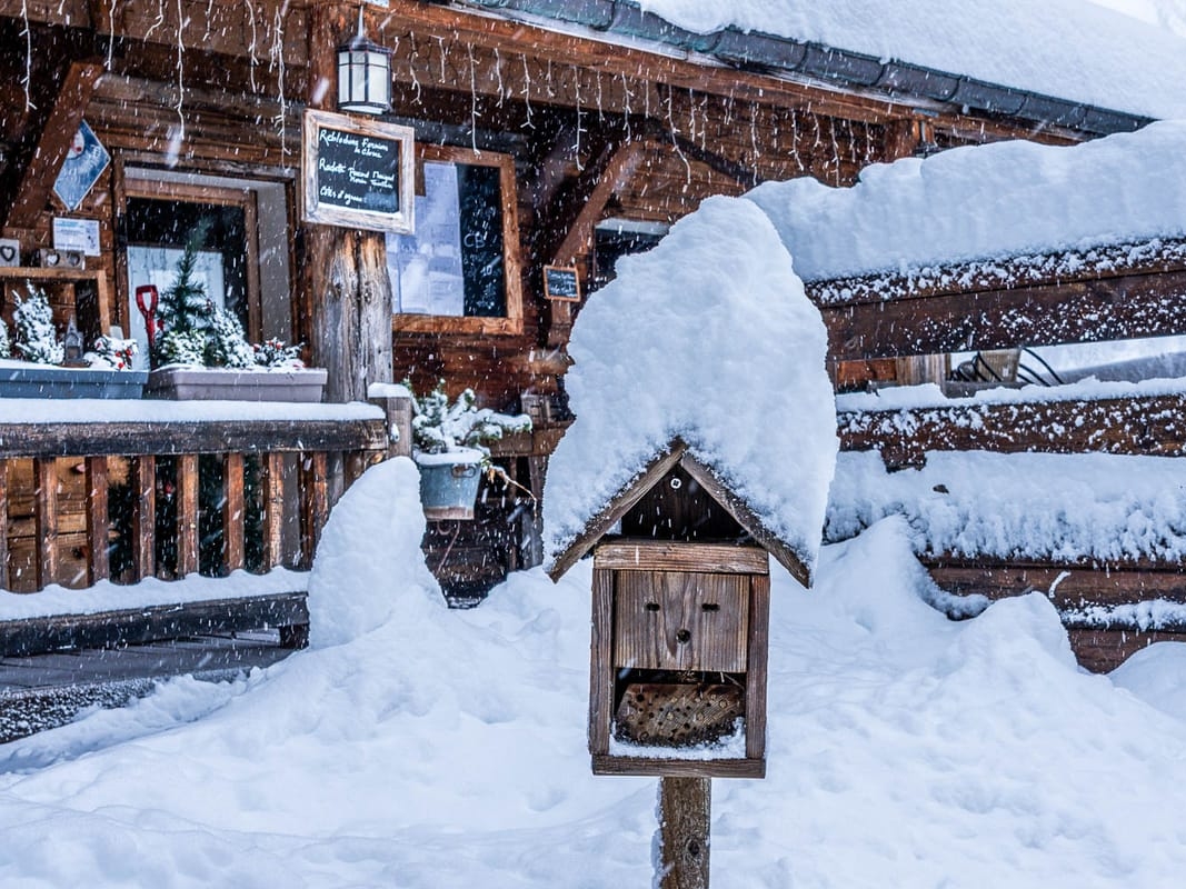 Evropa u januaru doživjela ekstremnu hladnoću
