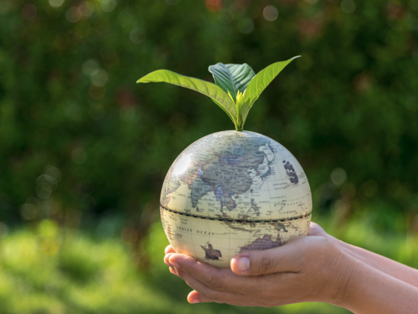 Evropska komisija ulaže više od 103 miliona eura u projekte okoliša i klime