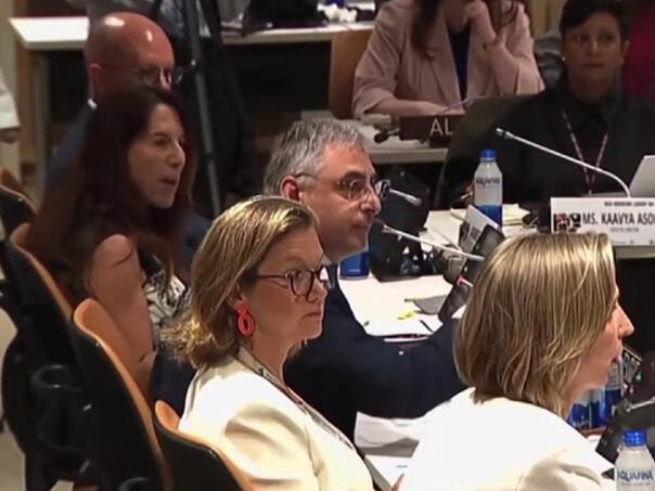Galama i svađa u UN-u, Izraelac vikao: "Sram vas bilo, budite tiho"
