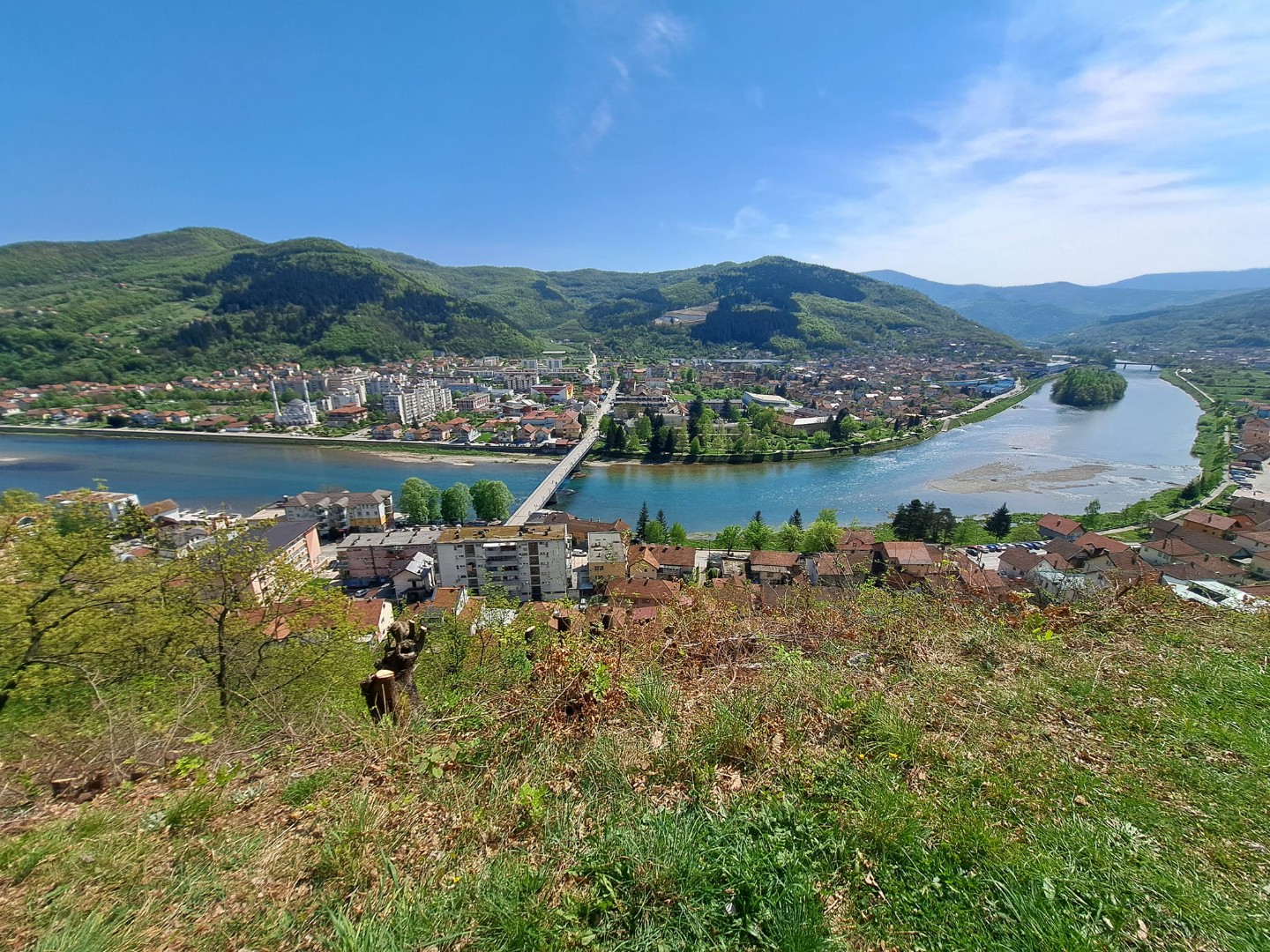 Gradonačelnik Goražda se oglasio nakon navoda o masovnom odstrelu pasa 