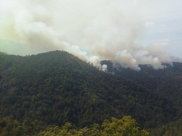 Grom uzrokovao tri šumska požara u Tesliću, gore danima