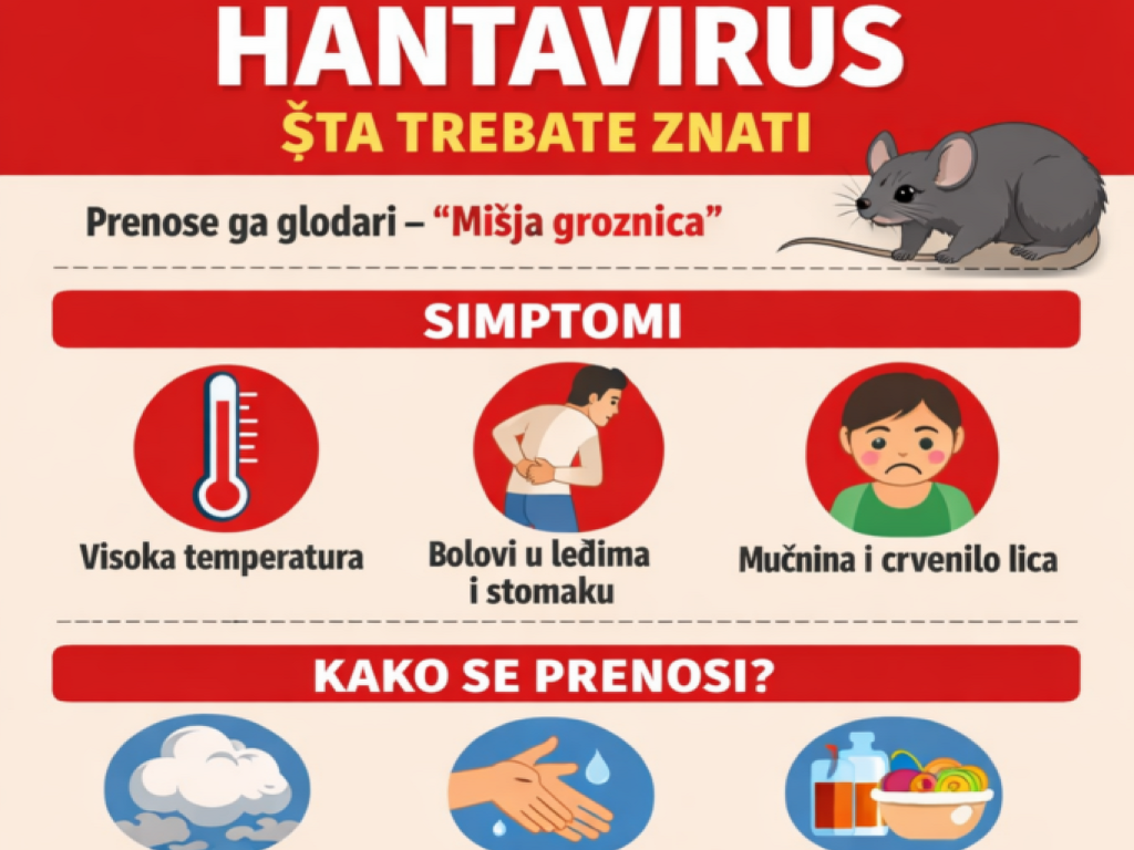 Hantavirus - Šta treba znati i kako se zaštititi?