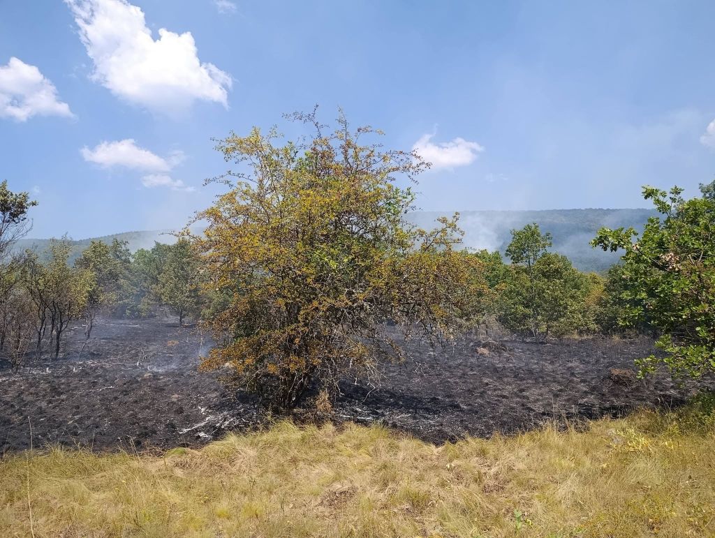Helikopteri OS BiH gase požare kod Bihaća i Bosanskog Grahova