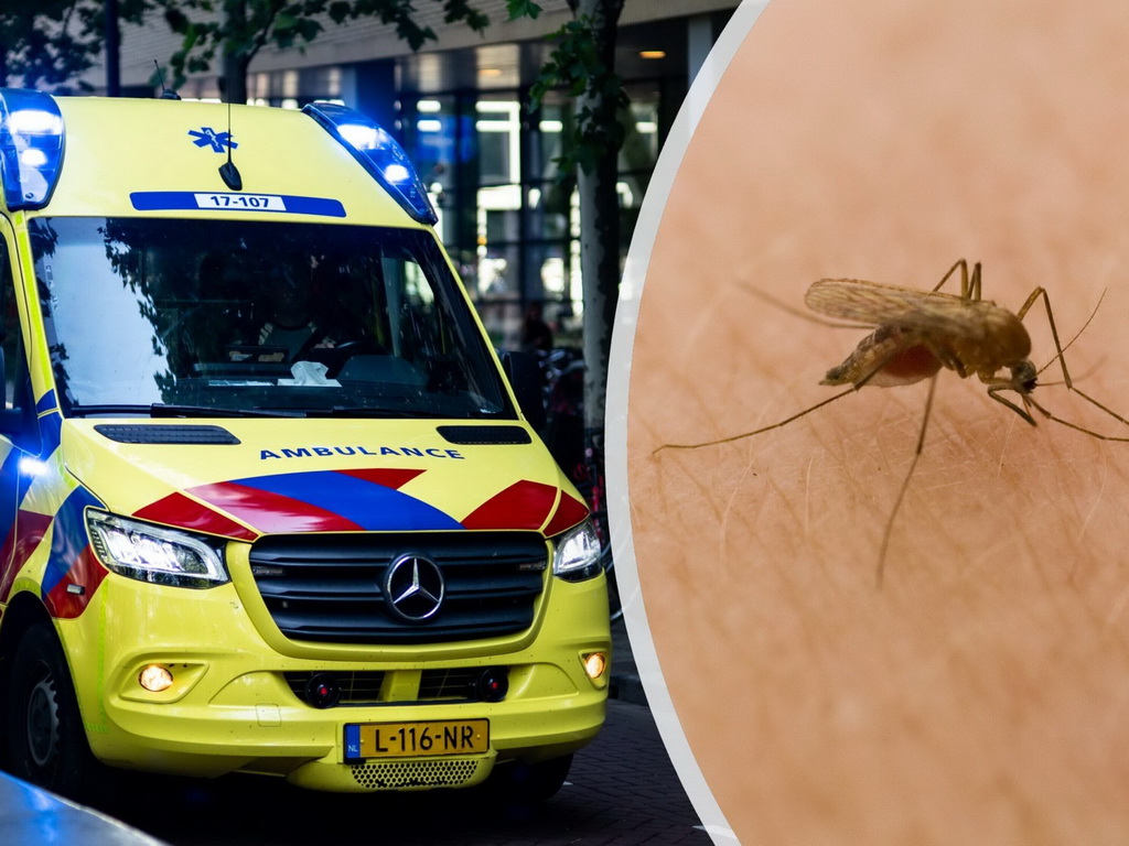 Holandija zabilježila još četiri smrtna slučaja od virusa Zapadnog Nila