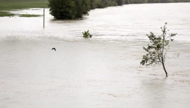 Hrvatska granična policija i građani spasili četiri osobe iz nabujale Save